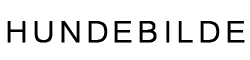 Hundebilde